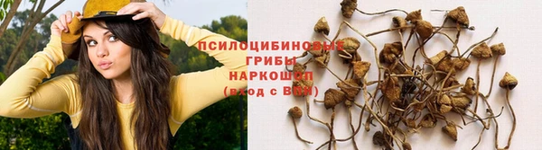 меф Зеленодольск